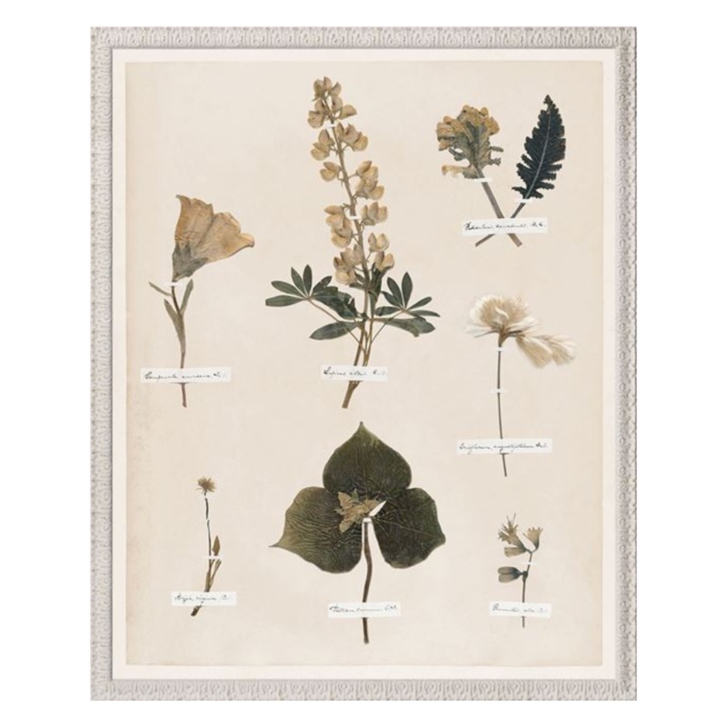 “Floral Pressings I” Framed Art Print