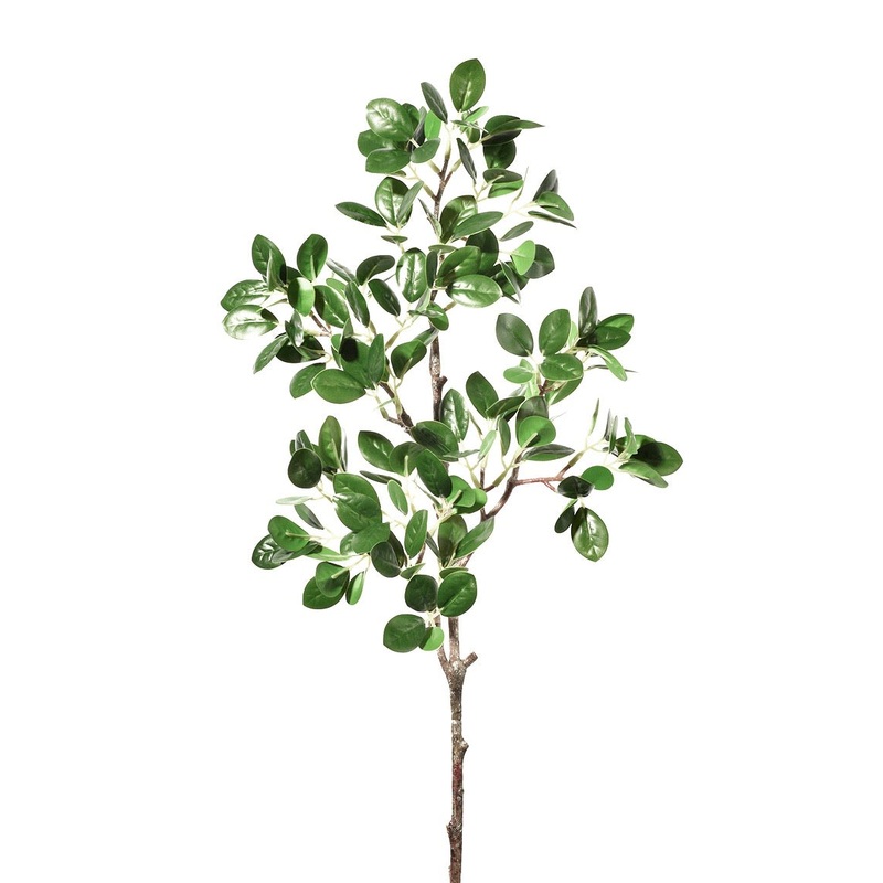 Milan Leaves