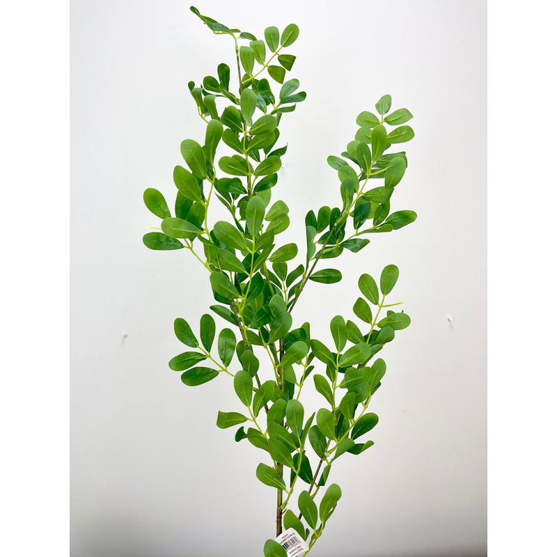 True Indigo Leaf Spray