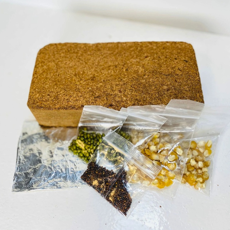 Grades 6-8 Tabletop Living Lab – REPLENISH Kit