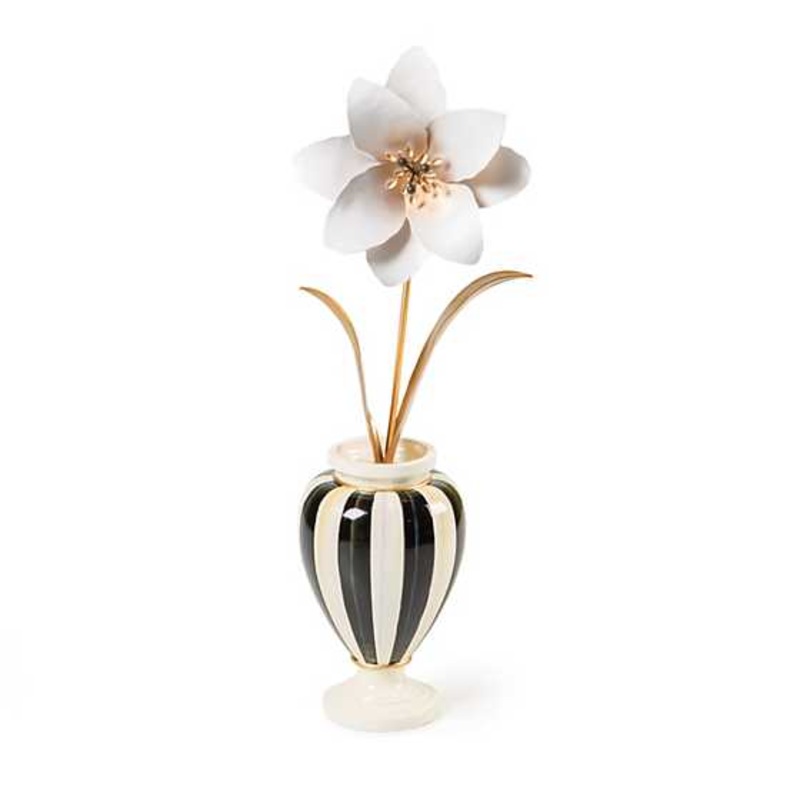 Marquee Potted Star Flower