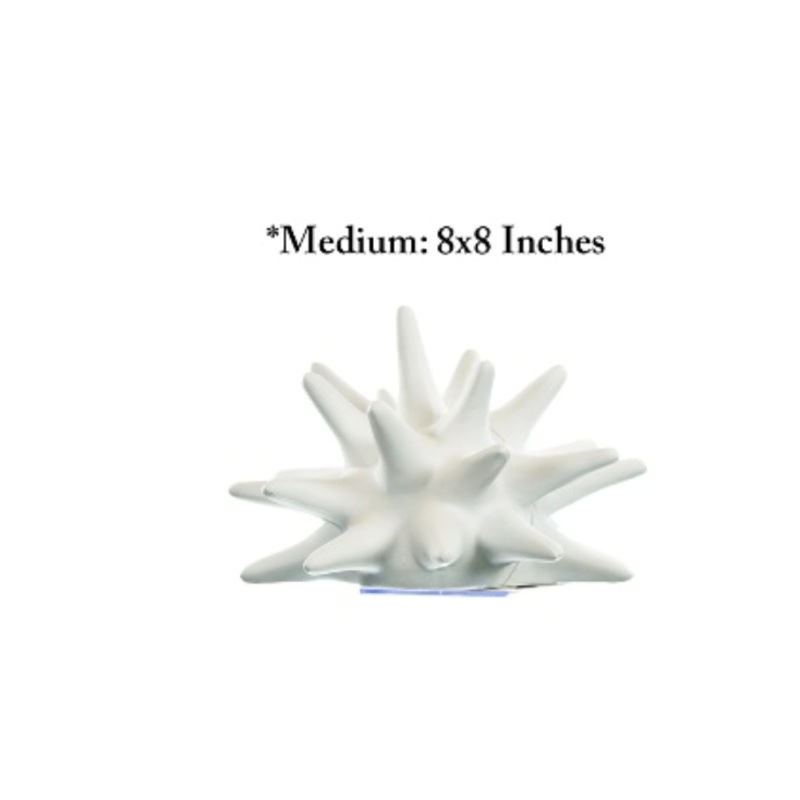 Decor Half Urchin -White 8X8″