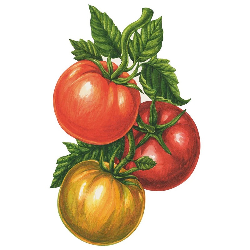 Tomato Table Accent