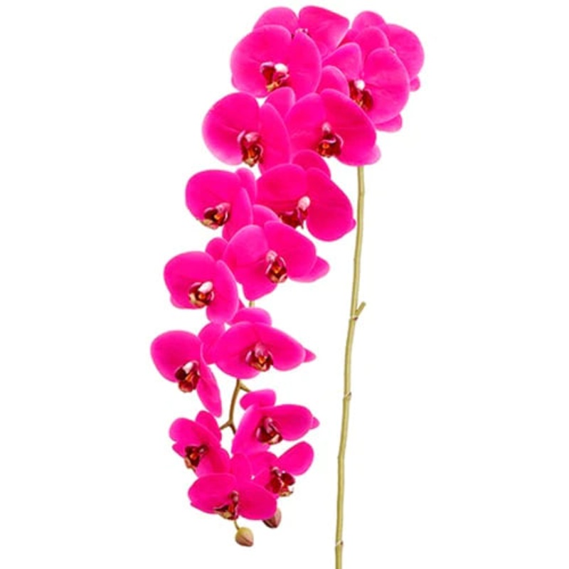 45″ Phalaenopsis Orchid Stem Purple