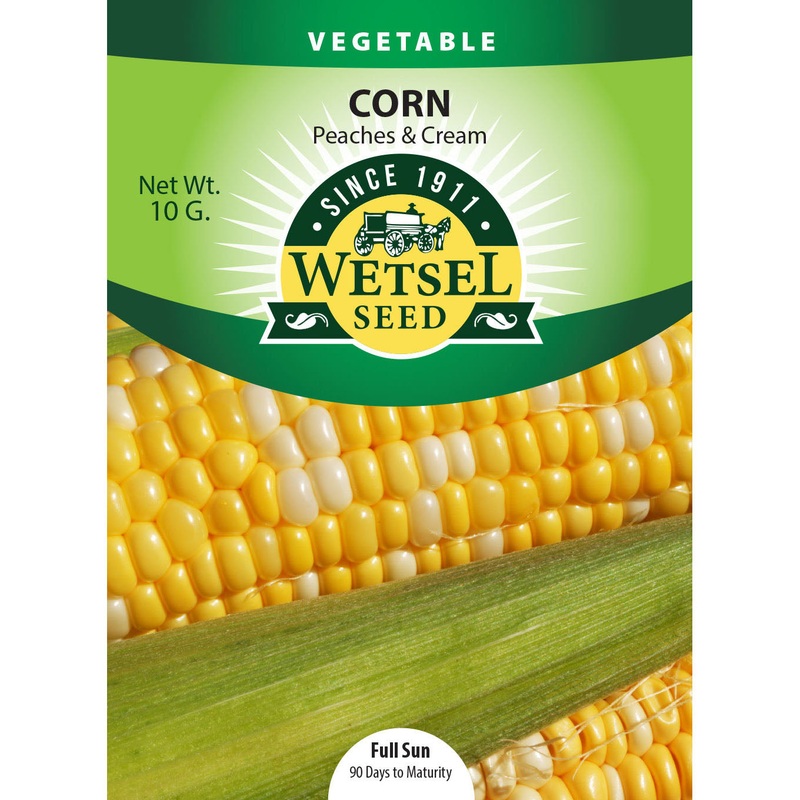 Wetsel Seed Corn Sweet Peaches & Cream Seed