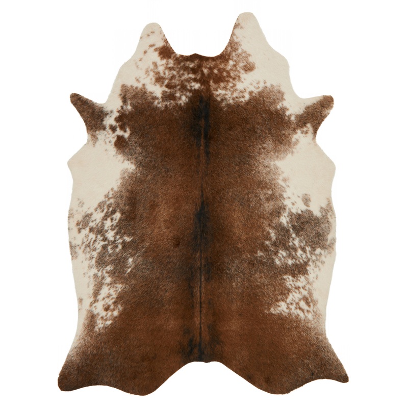 Loloi II Grand Canyon Rug | Coffee / Ivory