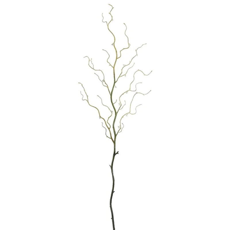 54″ Curly Willow Branch