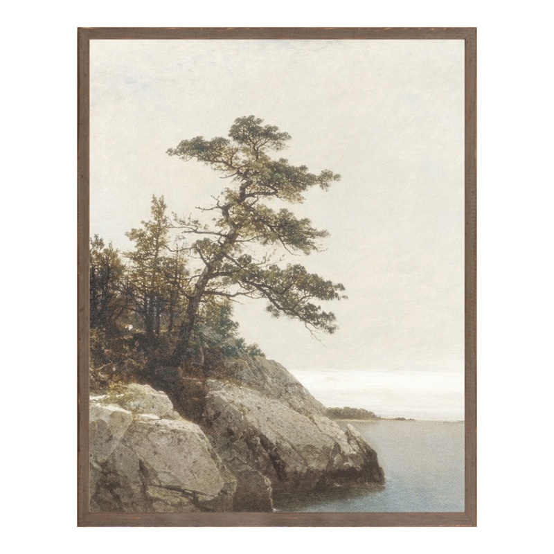 “Old Pines” Framed Art Print