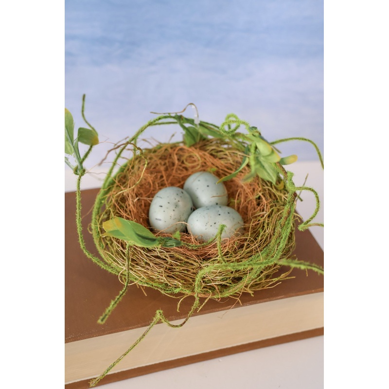 Bird Nest w/Eggs